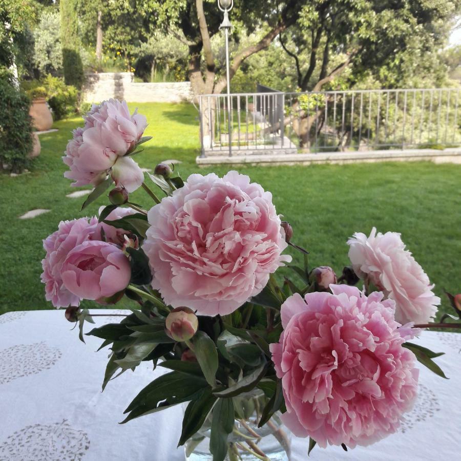 Bed and Breakfast Provence Dodo Villeneuve  Exterior foto